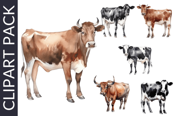 Country Cows Watercolor Western Clipart Illustrations