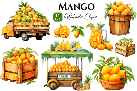 Mango Watercolor Clipart PNG for Illustrations