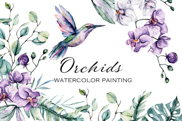 Orchids and Hummingbird Watercolor Set Illustrations