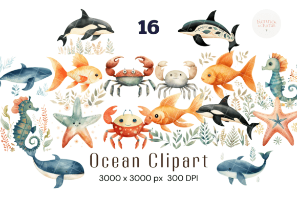Sea Animals Watercolor Clipart Rainbow Review