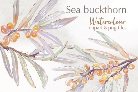 SeaBuckthorn Branches Watercolor Clipart Illustrations