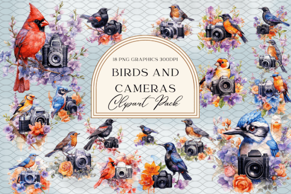 Watercolor Birds and Cameras Illustrations Review