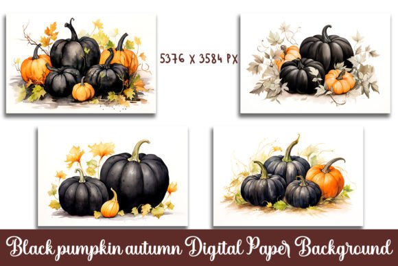 Watercolor Black Pumpkin Autumn Illustrations Review