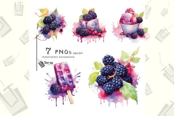Watercolor Blackberries Clipart Bundle Illustrations