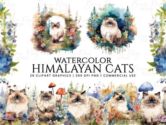 Watercolor Himalayan Cats Illustrations for Editorial Design