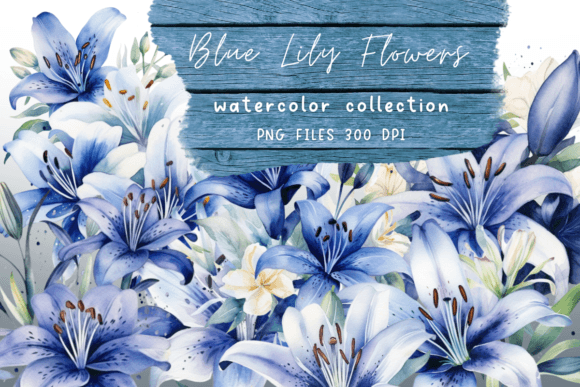 Watercolor Lily Blue Flowers: Illustrations Review