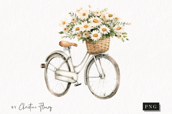 Watercolor Vintage Bike with Daisies Illustrations Review