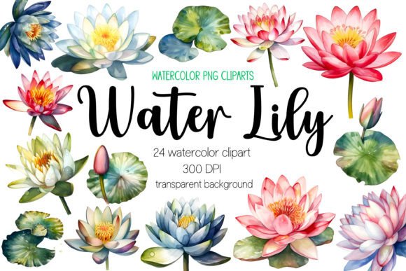 Watercolor Water Lily Clipart Bundle PNG: Illustrations Review