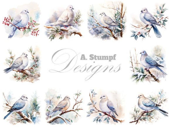 Winter Dove Watercolor Images: An Embroidery Review