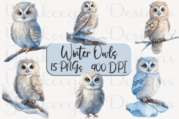 Winter Owls Watercolor Clipart for Embroidery