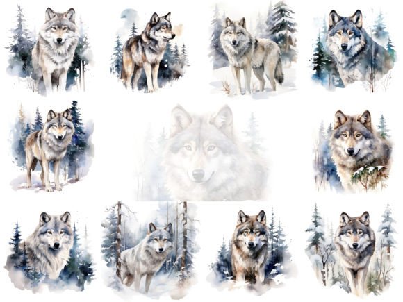 Wolf in Winter Watercolor Clipart Bundle: Illustrations Review