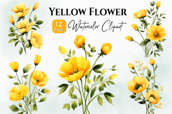 Yellow Wild Flowers Watercolor Clipart for Illustrations